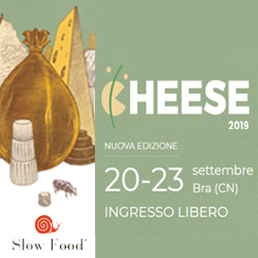 cheese