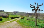 _DSC0153-copia