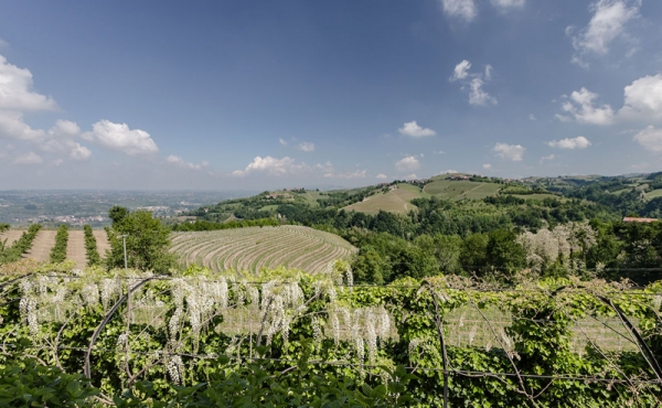 Ghigliani-CN_032_2000px