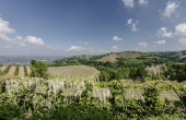 Ghigliani-CN_032_2000px