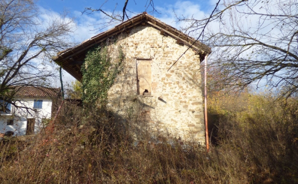 P1020445