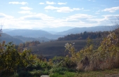 P1020439