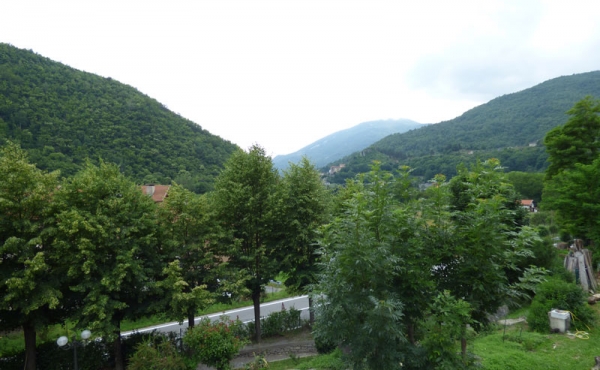 P1000360