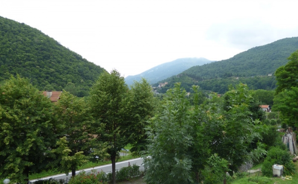 P1000361