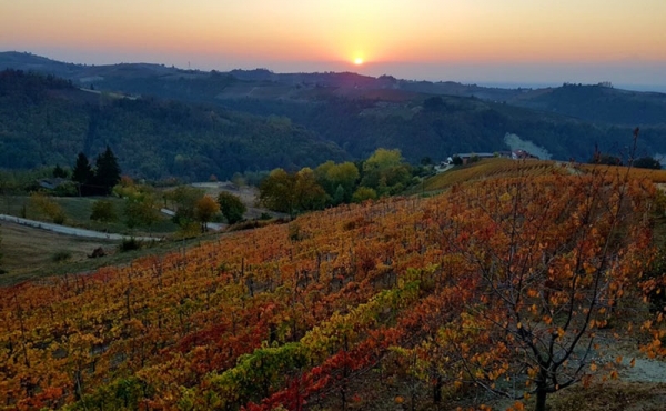 band vendita langhe (1)
