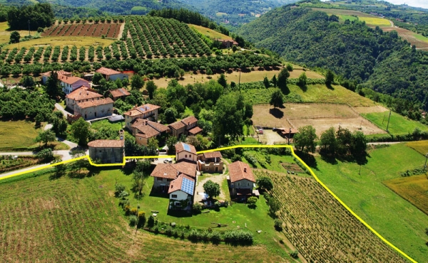 band vendita langhe (25)