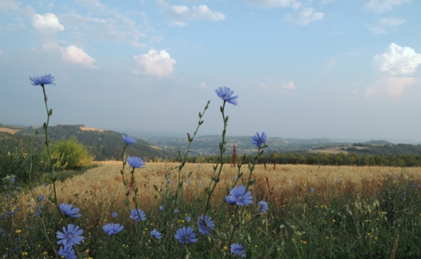 Attivià ricettiva nelle langhe