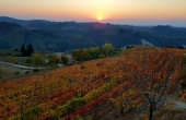 band vendita langhe (1)
