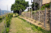 band vendita langhe (29)