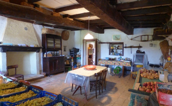 CASCINA VENDITA LANGHE (50)