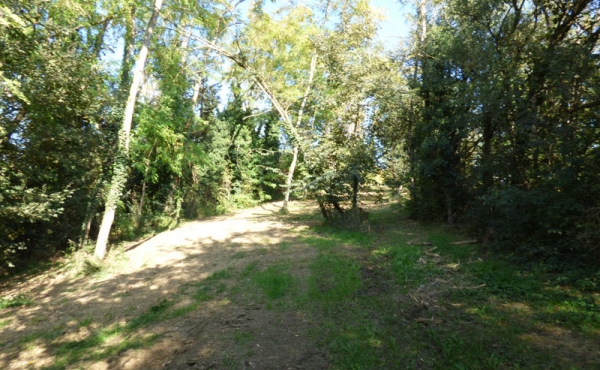 P1010569