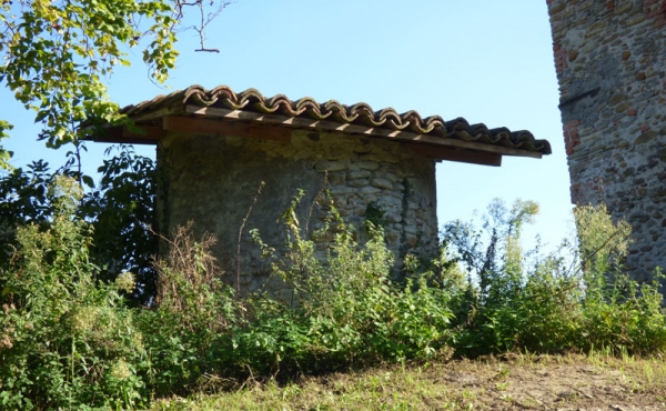 P1010571
