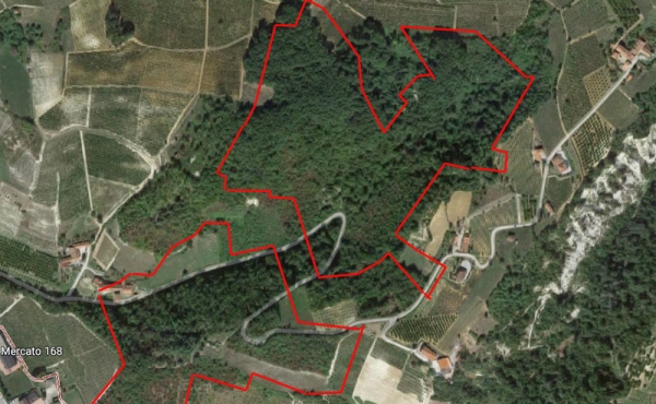Proprietà di due fabbricati con 22 ha di terreno