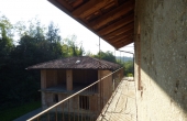 P1010551