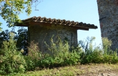 P1010571