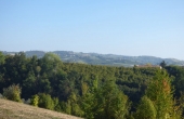 P1010572