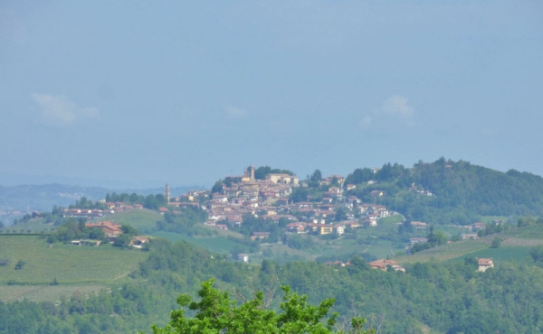 P1030423
