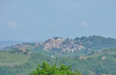P1030423