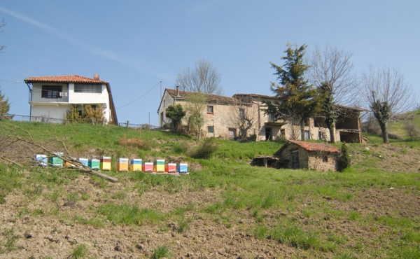 Cascina Alta Langa (14)