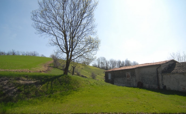 Cascina Alta Langa (32)