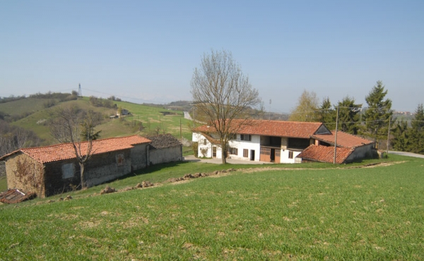 Cascina Alta Langa (6)