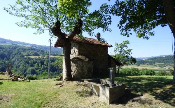 cascina con terreno (16)