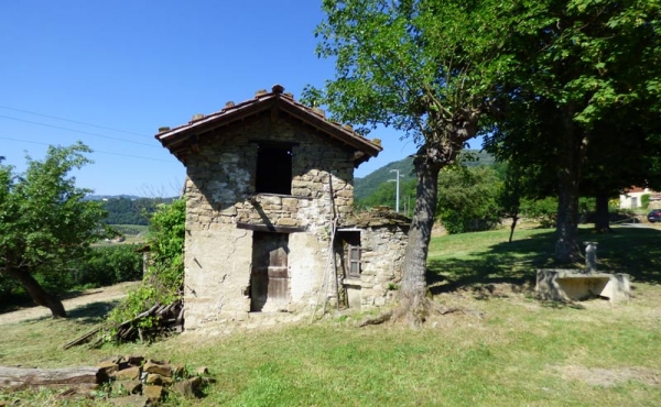 cascina con terreno (17)