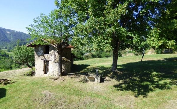 cascina con terreno (19)