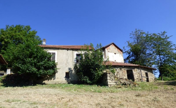 cascina con terreno (22)