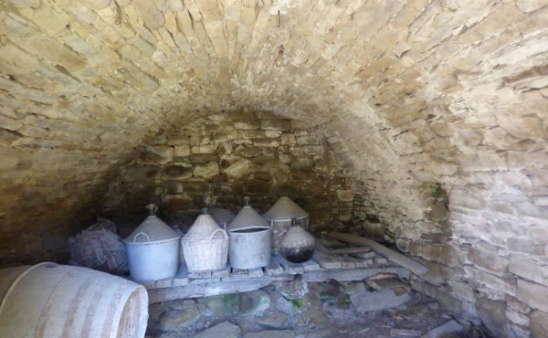 cascina con terreno (24)