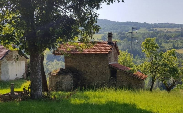 cascina con terreno (4)