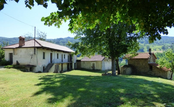 cascina con terreno (41)