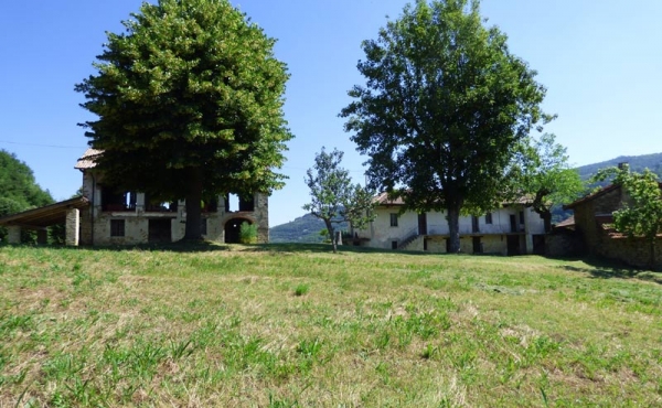 cascina con terreno (43)