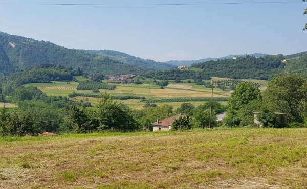 cascina con terreno (6)