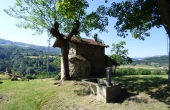cascina con terreno (16)