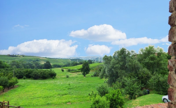 cascinale nel monferrato (27)