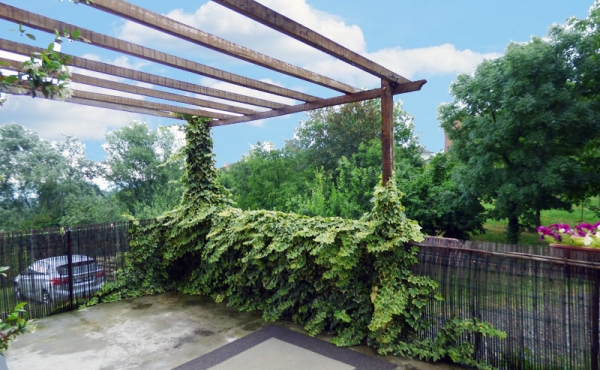 cascinale nel monferrato (43)
