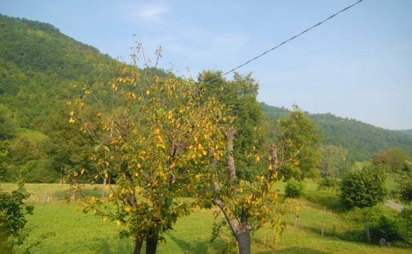 cascinale in Alta langa (50)