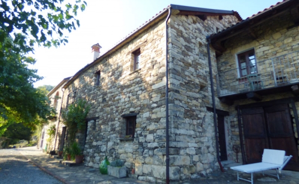 azienda vitivinicola (11)
