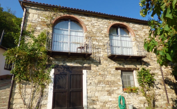 azienda vitivinicola (13)