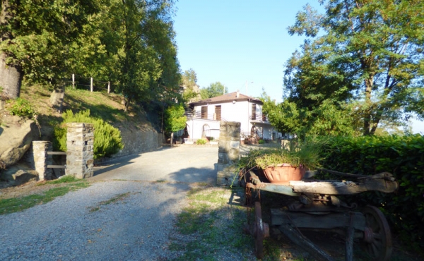 azienda vitivinicola (16)