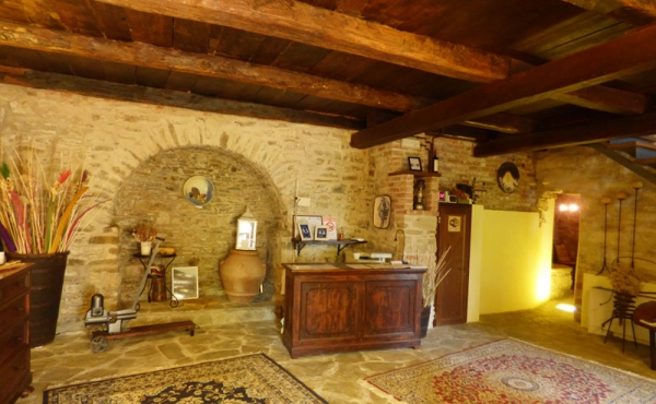 azienda vitivinicola (17)