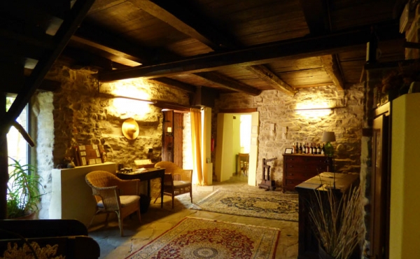 azienda vitivinicola (21)