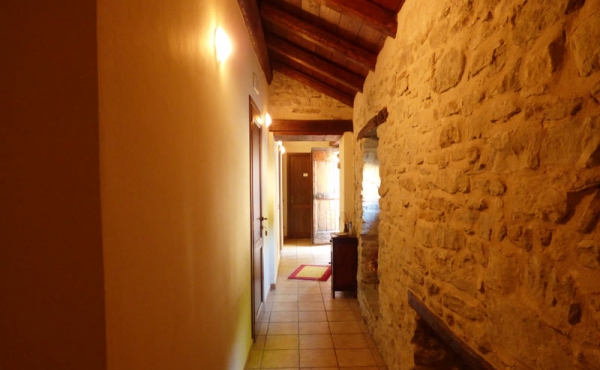 azienda vitivinicola (24)