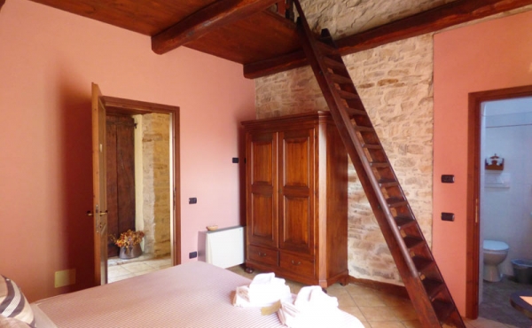 azienda vitivinicola (25)