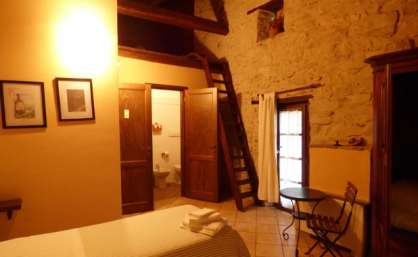 azienda vitivinicola (32)