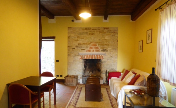 azienda vitivinicola (34)