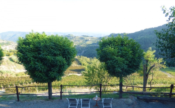 azienda vitivinicola (38)
