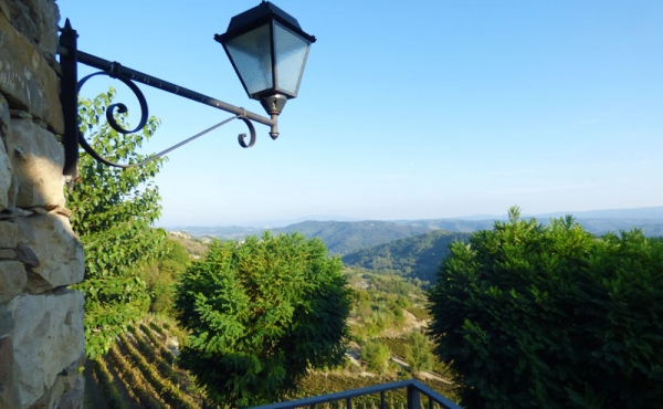 azienda vitivinicola (39)