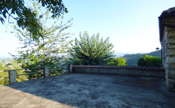 azienda vitivinicola (41)